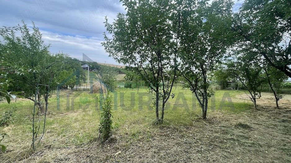 6.000 mp intravilan sat Avintu - Poză 3