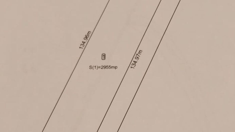 Teren de vanzare Magurele Cartierul Florilor 3500 mp - Poză 3