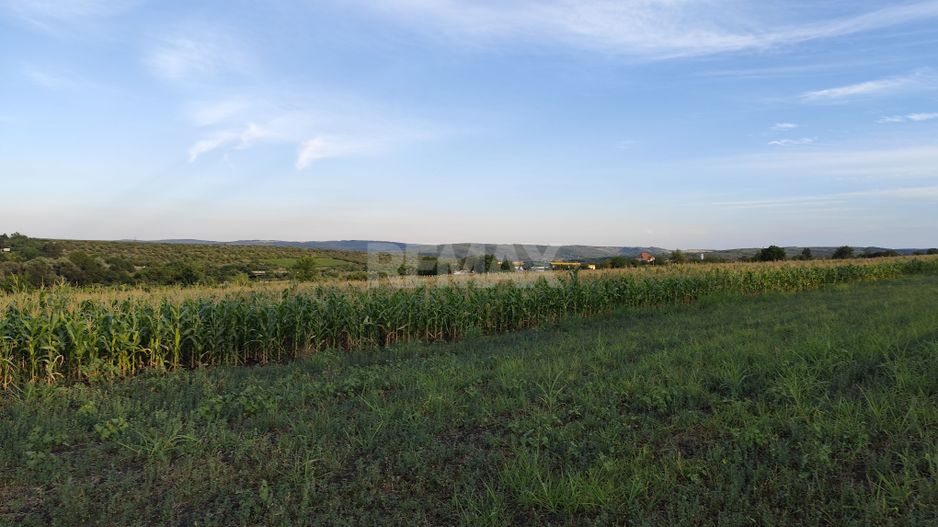 Teren cu destinaţie grădină com. Budești, Mun. Chişinău - Poză 4