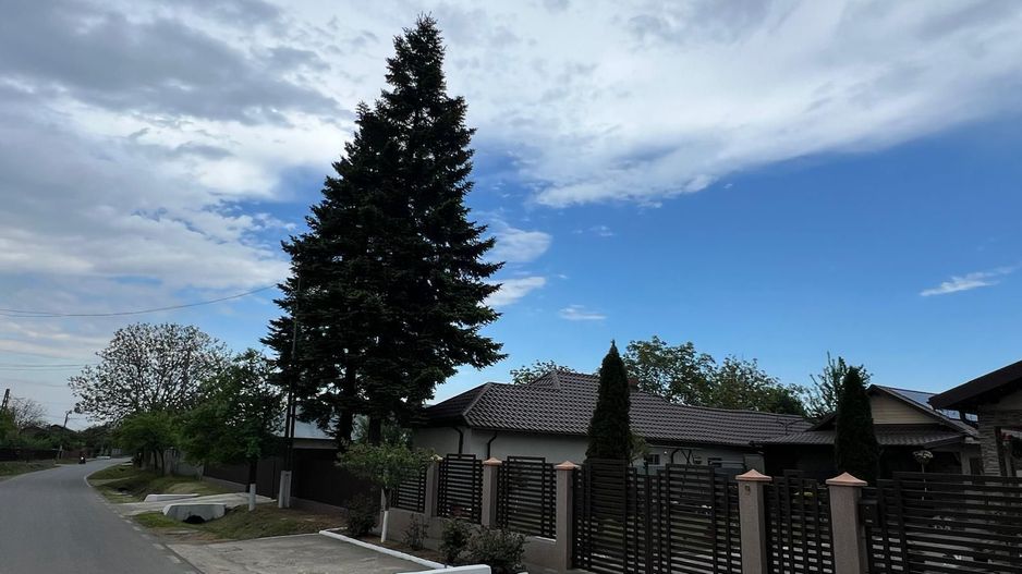 🏡 CASĂ + TEREN INTRAVILAN 4.971 MP – URECHEȘTI, VRANCEA - Poză 8