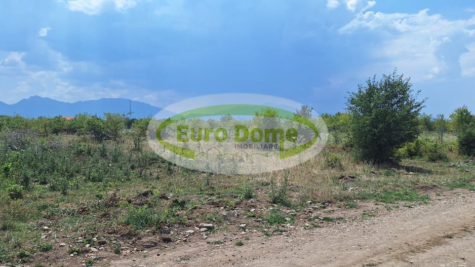 Sanpetru, str. Piersicului, teren 1182mp, 40 euro/mp - Poză 8