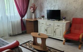 Apartament 2 camere PET FRIENDLY,  zona Florilor - Poză 3
