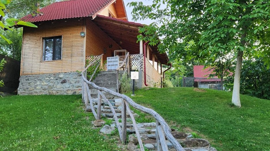 Vila Horezu Romanii de Jos - Poză 14