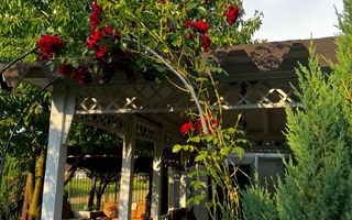 Teren intravilan imprejmuit, vegetatie matura 1200mp Sag Manastire - Poză 9