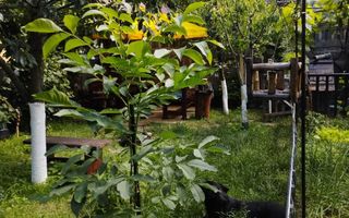 🏡 Apartament decomandat la casă | 2 camere | Piața Cluj - Poză 8