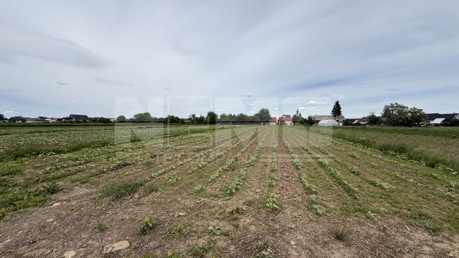 Casă Măneuți | 2.800 mp teren intravilan | Complet mobilată - Poză 24