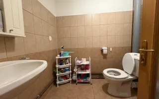 Individuala | 4 camere | Toate utilitatile | Mobilata | Asfalt | - Poză 13