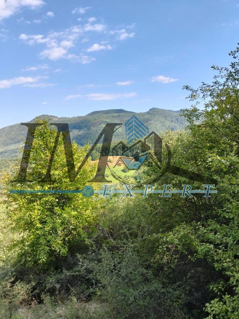 Vand teren in Poiana Ampoiului comuna Metes jud. Alba - Poză 2