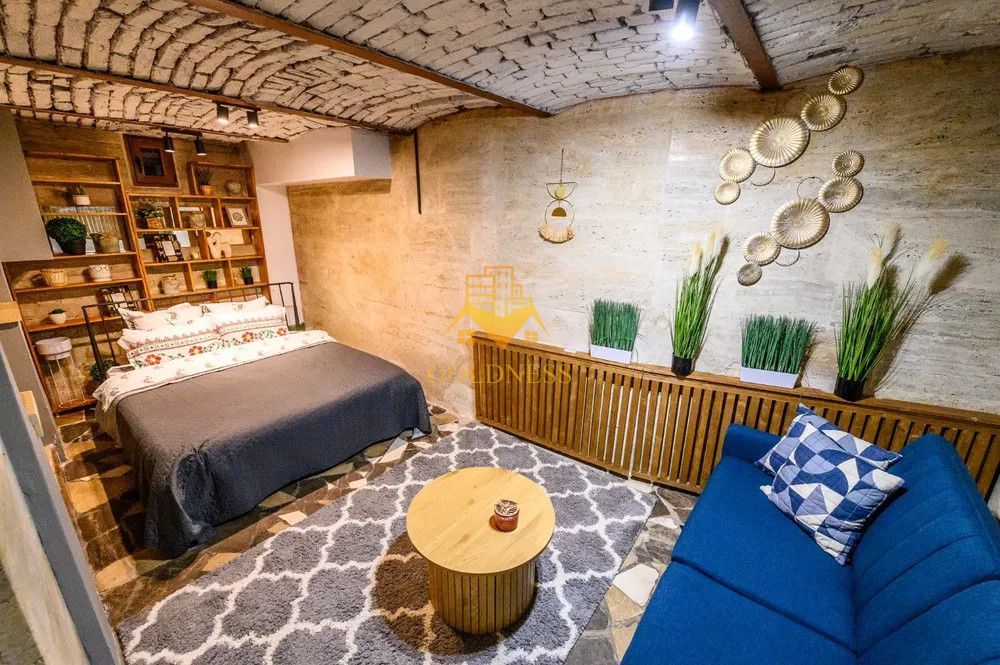 3 camere, premium, zona Centrala, Motilor, USAMV, Piezisa, Platinia - Poză 1
