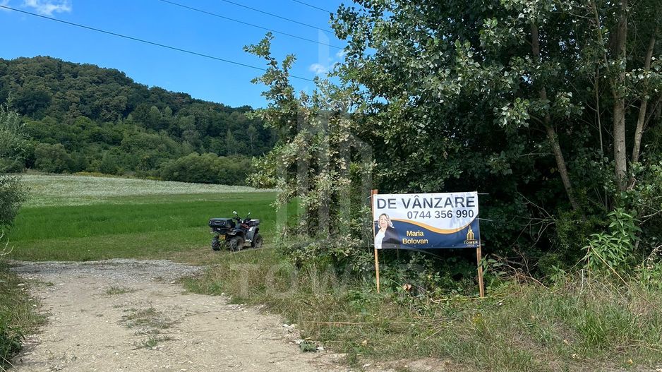 Teren extravilan de vânzare la ieșire din Bradu-Sibiu - Poză 3