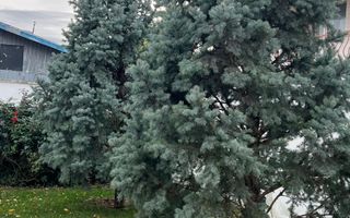 Spațiu de birouri de închiriat în Sud-Vest, Tulcea - Poză 14