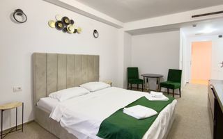 Hotel 3 Stele cu Restaurant | Aradului - Poză 2