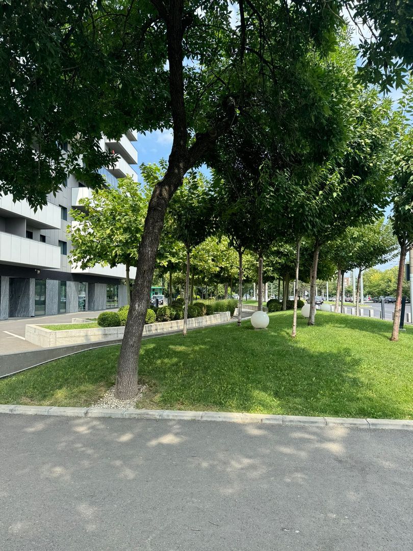 Spatiu Comercial | Stradal | 338 m2 | Trafic intens | Vitralii | - Poză 2