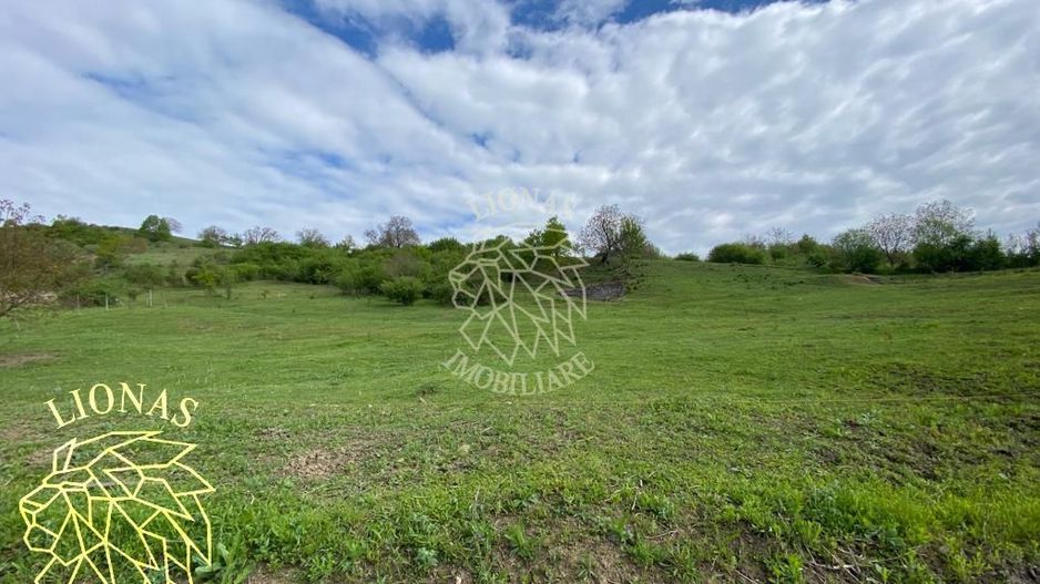 Teren Extravilan - Ghinda - 3.5000mp-Parcelabil - Poză 1