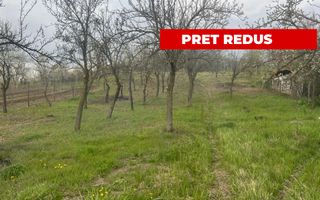 Teren intravilan 2.200 mp cu constructie existenta –Calinesti- Vranesti-Arges! - Poză 1