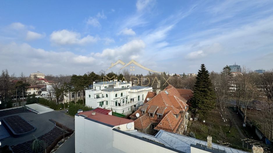 Resedinta de lux / *Kiseleff* - Poză 56