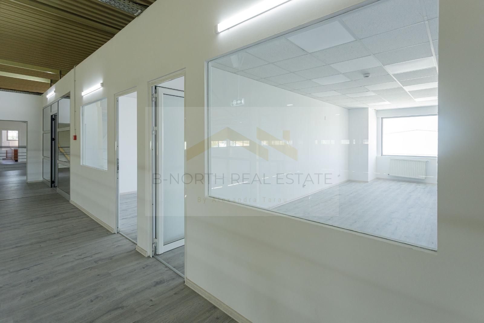 Hală industrială 420 mp Otopeni | Rampe TIR | ISU | Acces DN1 & Centură - Poză 13
