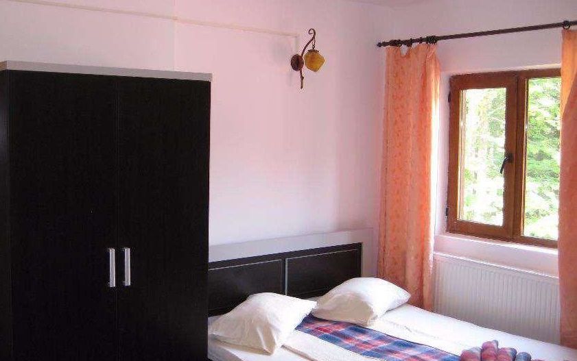 Priveliste catre Lacul Vidraru, teren 2100mp, vad turistic permanent - Poză 7