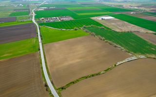 Teren extravilan între Arad și Zimand - Poză 3