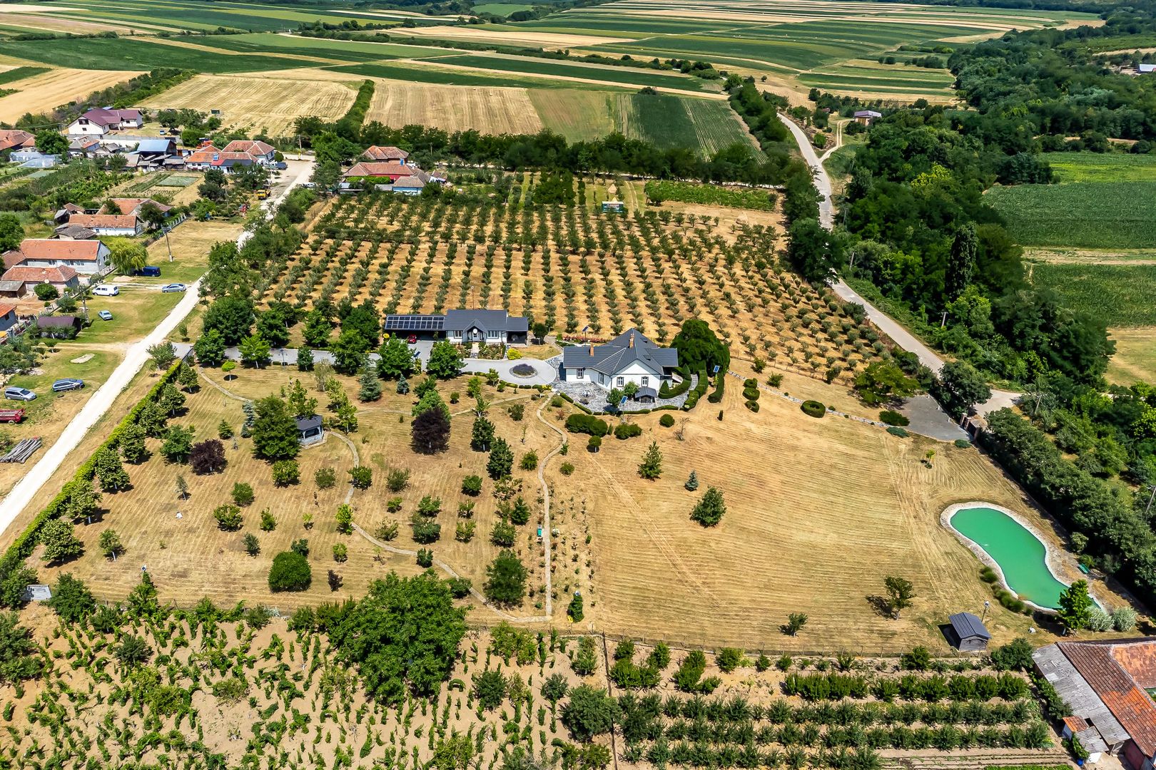 REZERVAT Visezi la o proprietate unică, plină de istorie și farmec? - Poză 12