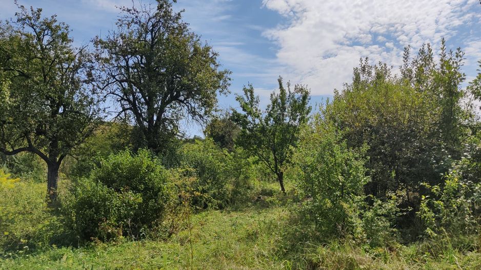 Teren constructii 1425 mp plus 380 mp, cu casa demolabila, COMISION 0 - Poză 6