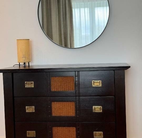 Apartament zona Kiseleff - Poză 8