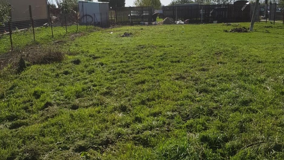 Teren Intravilan Becicherecu Mic In Vatra Satului,1000 mp,Fs. 14m - Poză 1