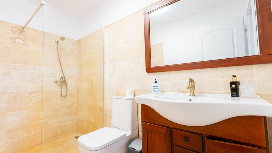 Vila de inchiriat | Silistea Snagovului | Aproape de lac-ponton privat | Jacuzzi - Poză 18