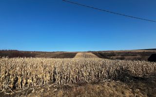 Oportunitate investitie! Teren extravilan Valea Fanatelor, 1ha - Poză 1