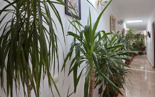 VANZARE CASA P+1 | 5 CAMERE | ZONA ROSETTI - Poză 21