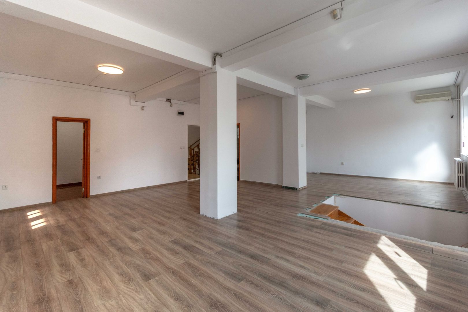 Aviatiei | Smaranda Braescu | Vila reprezentativa de inchiriat - Poză 24