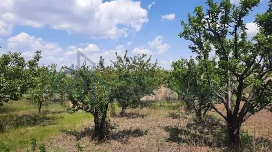 Teren de 3.360 mp în Comuna Holboca, zonă rezidențială nouă, cu utilități la 50 m - Poză 3