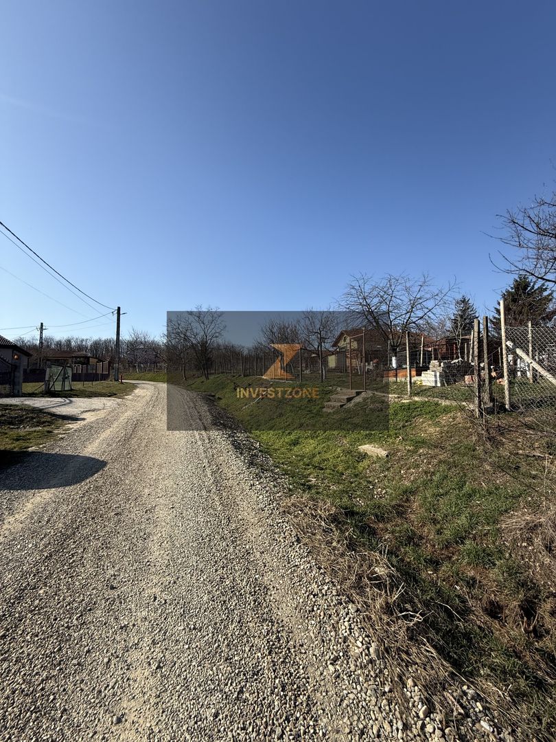 Teren intravilan 700 mp cu utilități în Paleu - Poză 6