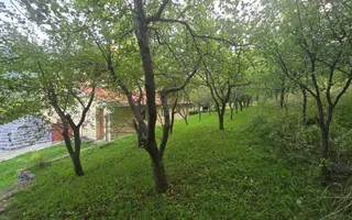 Casa 4 camere teren 3825 mp Cisnadioara - Poză 11