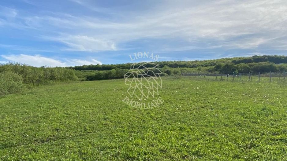 Teren 2160 mp - pretabil pentru cabana - investitie - Jelna - Poză 1