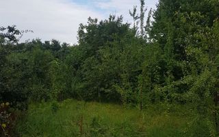 Teren de vânzare în Bucium, 1000mp, acces asfaltat - Poză 1