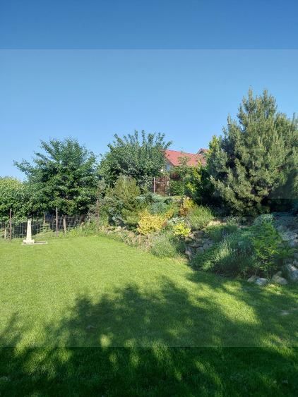 Casa individuala cu teren 750mp, garaj, beci, terasa - Dezmir - Poză 12