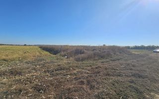 Copăceni - Ilfov - Teren intravilan arabil de vânzare - 1.148 mp - Poză 2