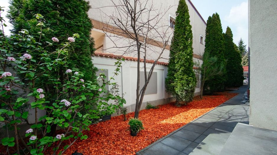 Vilă modernă  cu curte generoasă în Iancu Nicolae - Poză 28