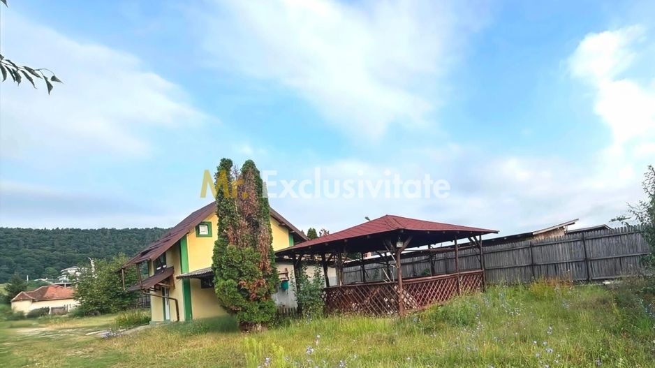 🏡 Oază de liniște! Casă cochetă cu foișor și curte – Mărăcineni - Poză 1
