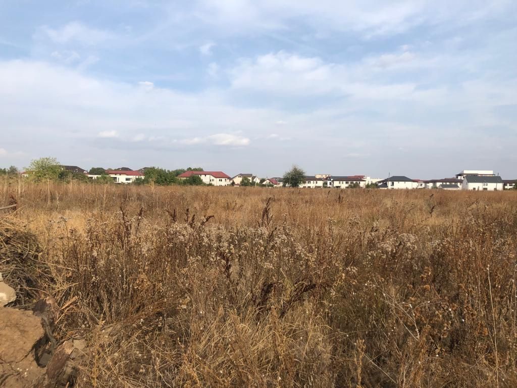 Lot teren 80000 mp Otopeni Sud Est dezvoltare sau lotizare - Poză 2