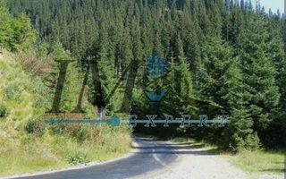 Teren de vânzarepadure  in Cugir 10.644mp - Poză 1