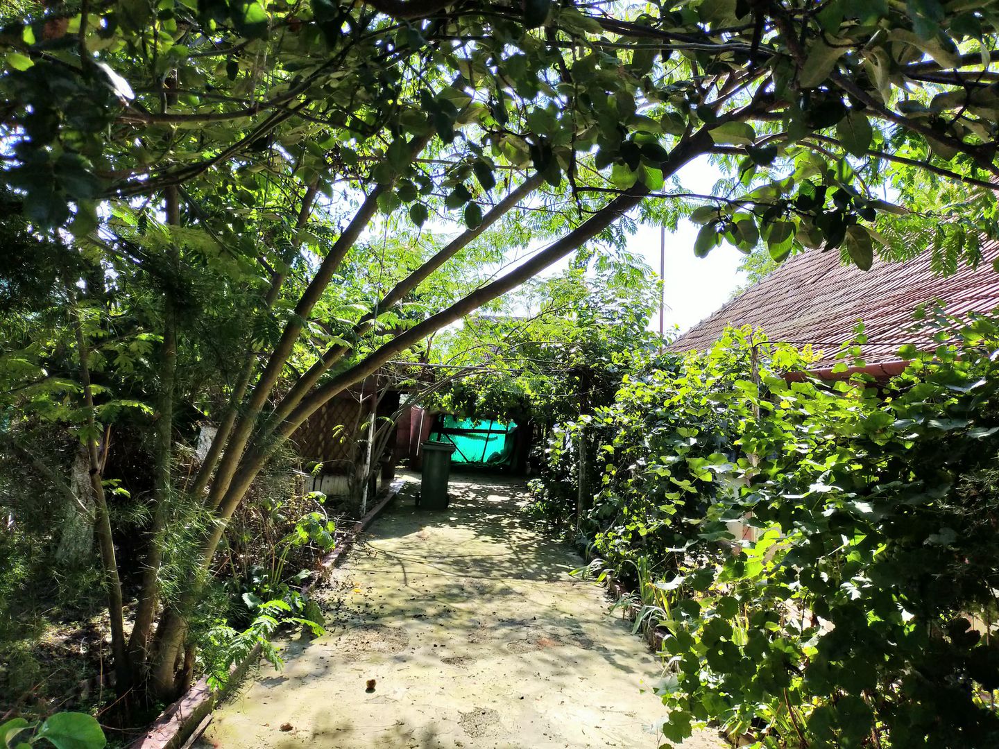 CASA 3 CAMERE IN CARANI - Poză 8