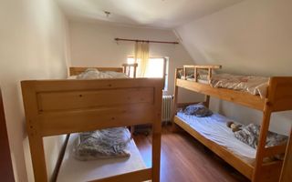 CASĂ\ VILĂ 6 CAMERE, LA MUNTELE MIC,JUD. CARAȘ-SEVERIN\ COMISION 0% - Poză 1