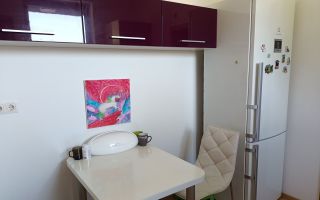 Locuință modernă într-o zonă verde, zona Faget - Poză 8