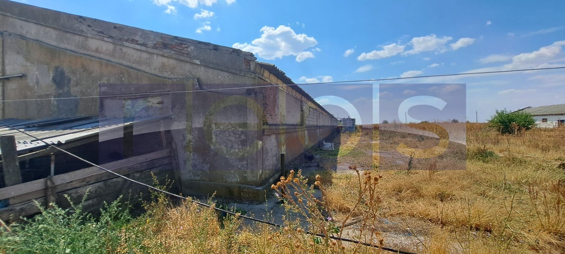 VANZARE TEREN 45.000 MP | IDEAL FERMA, HALA, PANOURI SOLARE | SACENI, TELEORMAN - Poză 5