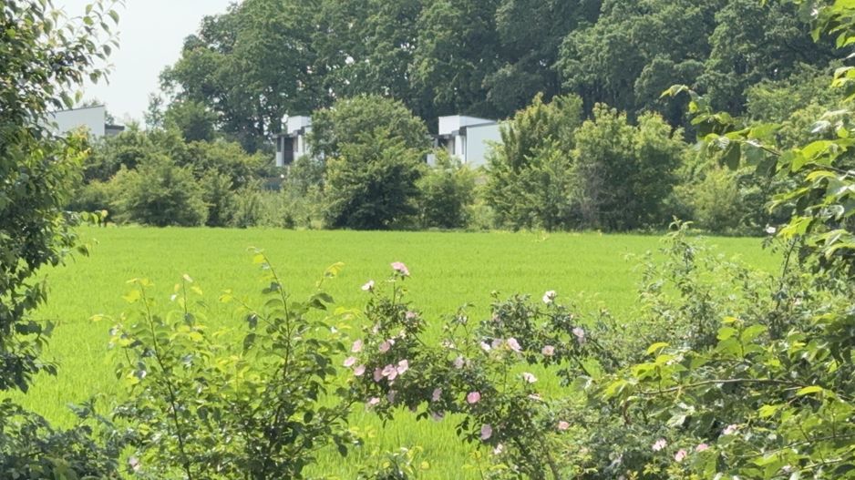 Teren intravilan 498,02 mp langa pădure , strada privata Corbeanca - Poză 9