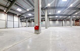Spatiu industrial flexibil (Depozitare/Productie) - Chitila - Nord