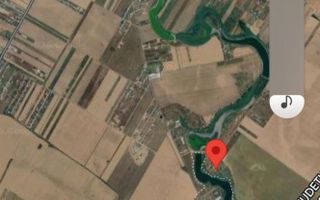 Teren la Balta La Gropi Berceni, Vidra, Ilfov - Poză 2