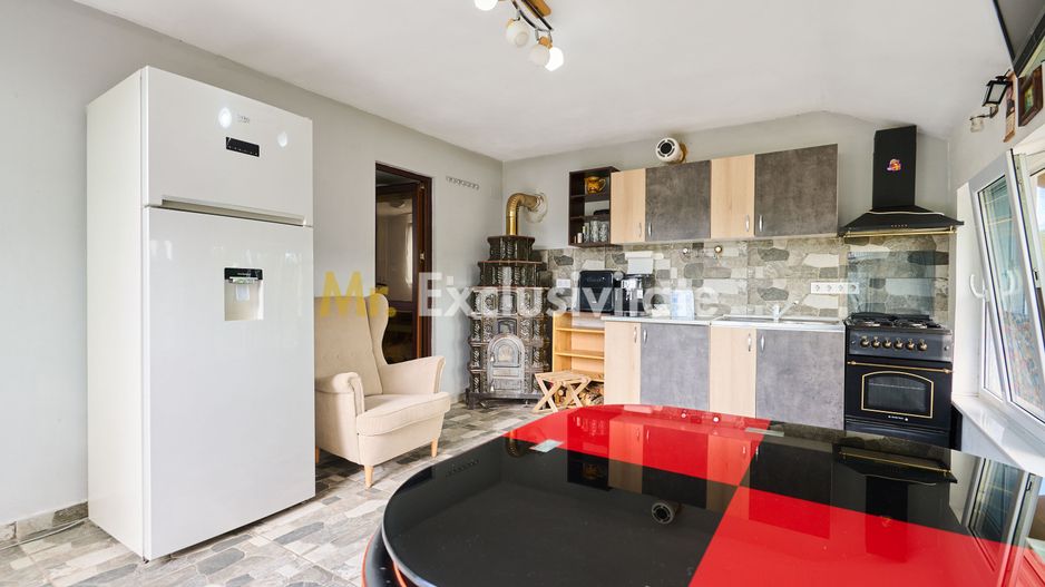 Doua CASE in aceeasi curte–BABANA, ARGEȘ | 1.485 MP TEREN - Poză 16